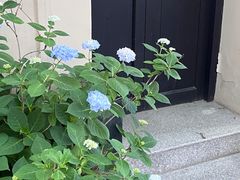 -花满楼(启秀路店)