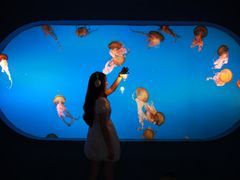 -太平洋海底世界