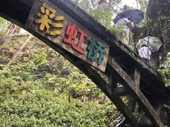 -青青世界