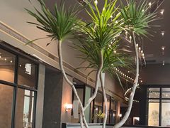 -西堤牛排(南京龙江店)