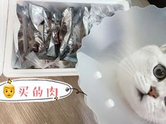 -美联众合动物医院·24h京西诊疗中心