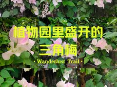 -中国科学院华南植物园