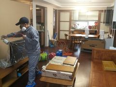 -科立恩进口除甲醛甲醛检测