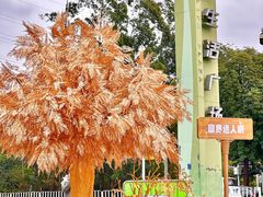 -万科生活广场(东莞松山湖店)