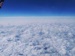 -中免(澳门机场免税店)