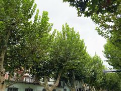-夏朵花园(复兴西路店)