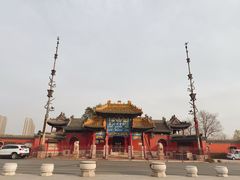 -药王庙(安国市)