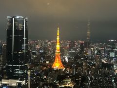 -六本木新城展望台(东京城市景观)