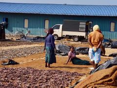 -尼甘布海鲜市场