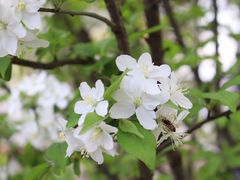 -复旦大学本部-食堂