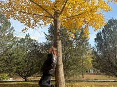 -大兴滨河森林公园