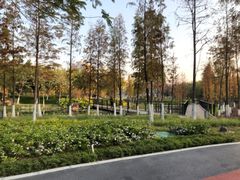 -映月湖公园