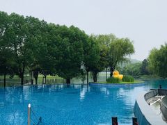 -上海佘山世茂艾美酒店