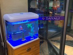 -大鸭梨(天通西苑店)