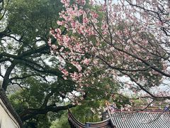 -阿育王寺
