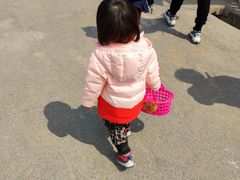 -田趣农庄草莓采摘园