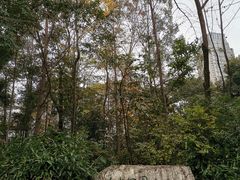-成都市活水公园