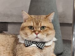 -想见你(咖啡·茶饮·甜品·江汉路店)