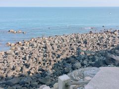 -硇洲岛旅游区