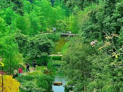 -云溪植物园