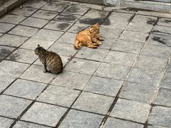 -终南山南五台景区