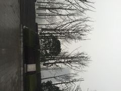 iphone_upload_pic-百林公园-两江幸福广场