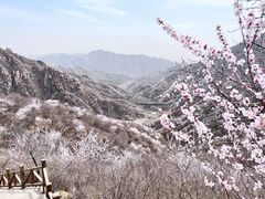 -大岭沟猕猴桃谷风景区