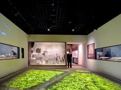 -上海博物馆(人民广场馆)