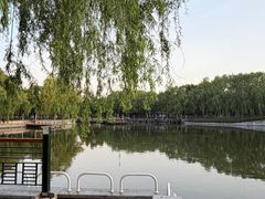 -黛秀湖公园