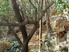 -昆明动物园