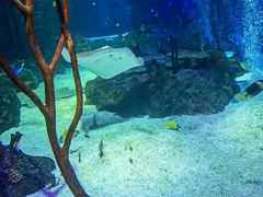 -沈阳海洋探索中心