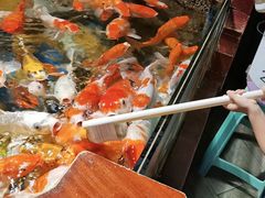 -太平洋海底世界