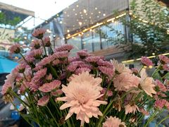 -后海16号·北京私房菜