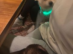 -La Tavernetta(Bar à Vin)(乌鲁木齐路店)