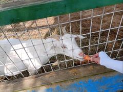 -武汉紫薇都市田园