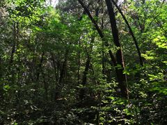 -云龙山