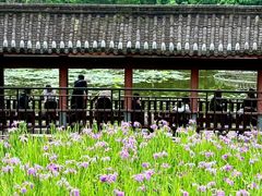 -龙头寺公园