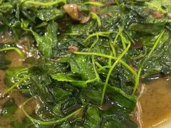 -新名仕新白玉兰餐厅