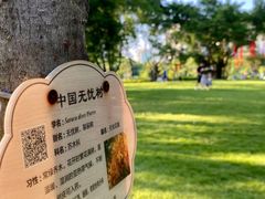 -广州珠江公园