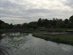 -美兰湖景区