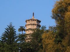 -深圳国际园林花卉博览园