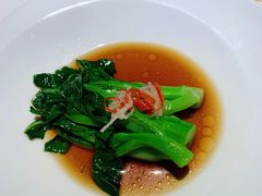 -觀芷隐轩