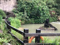 -龙山酒店温泉