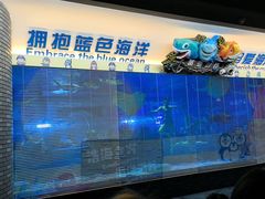 -成都浩海立方海洋公园