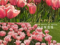 -静安雕塑公园