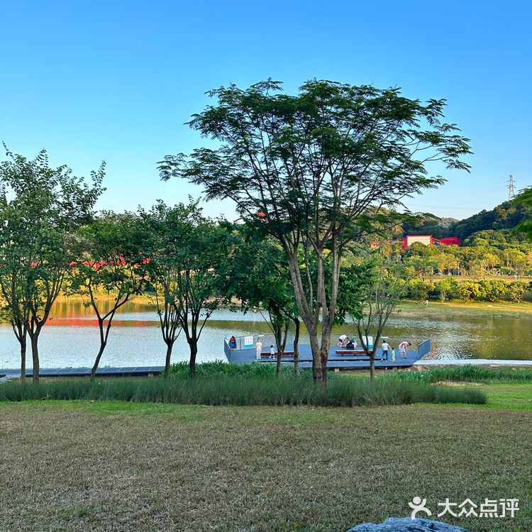 深圳新店｜藏在湖边的治愈系咖啡店☕️