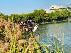 -五缘湾湿地公园
