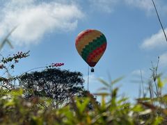 -中国科学院西双版纳热带植物园