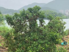 -宁波九龙湖开元度假村