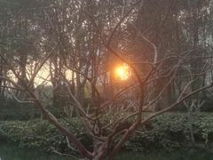 -苏州河梦清园环保主题公园